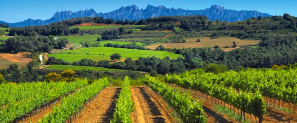 Penedes